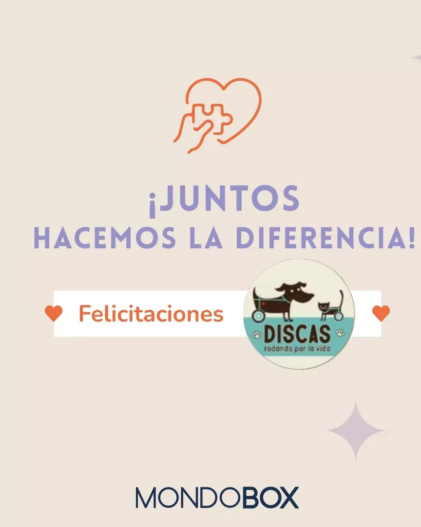 Donación a Fundación Discas: ¡Gracias por dar segundas oportunidades!