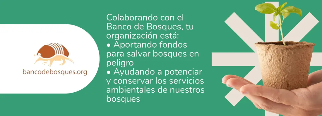 ¿Sabías que con tu regalo estás salvando bosques nativos de nuestro país?